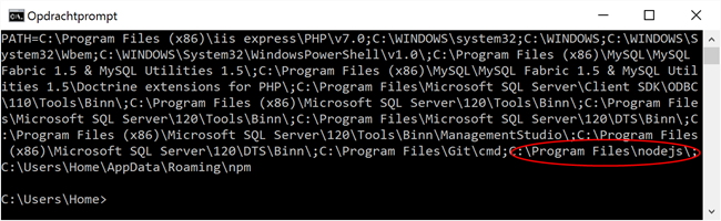 Node in PATH omgevingsvariabele